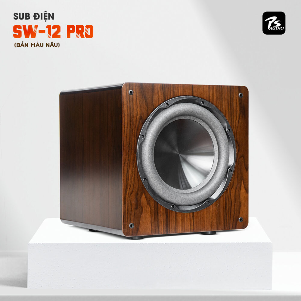 Sub Điện PS Audio SW12Pro