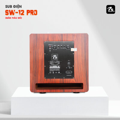 Sub Điện PS Audio SW12Pro